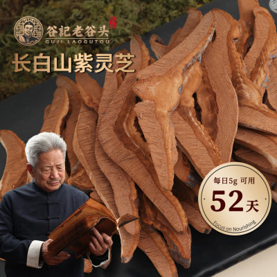 老谷头 灵芝片长白山整朵紫灵芝片切片250g