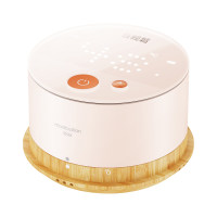 倍轻松 【易烊千玺同款】姜小竹艾灸盒A2mini家用全身通用木质智能