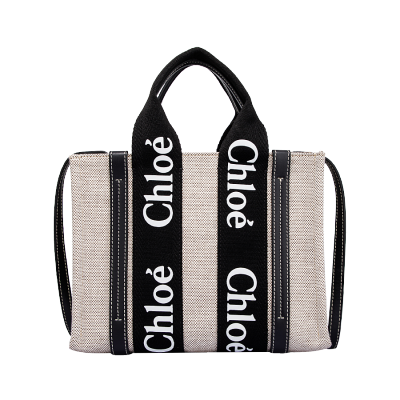 Chloe 蔻依女士单肩背包CHC21WS397E66925