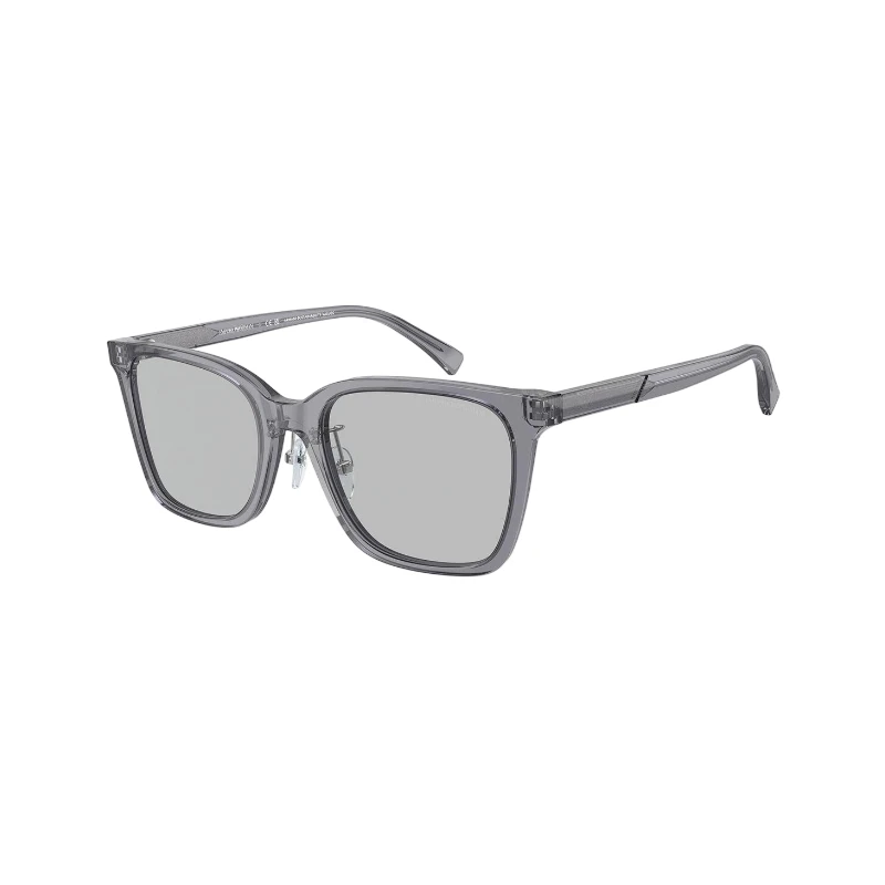 EMPORIO ARMANI安普里奥·阿玛尼太阳镜 0EA4226D50298755