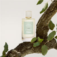CHLOE 蔻依仙境花园系列香氛 漫镜橡野 150ml