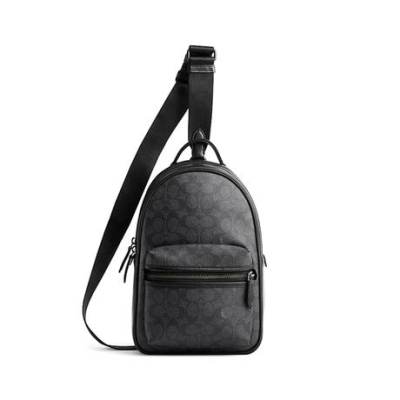 COACH 蔻驰经典标志皮革CHARTER背包