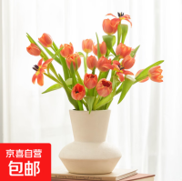 京东郁金香🌷买10送10